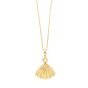 10K Sea Shell Necklace