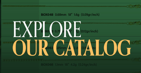 Explore Our Catalog